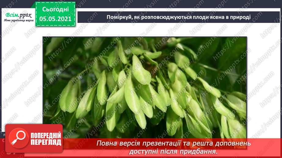 №033 - Розмноження квіткових рослин18