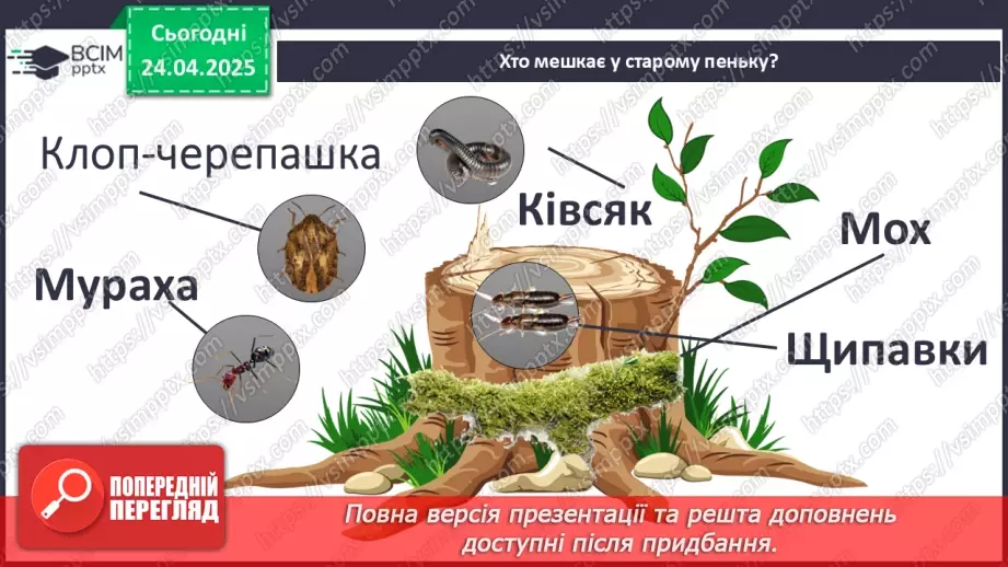 №0094 - Проект «Хто мешкає у старому пеньку?16 №0094 - Проект «Хто мешкає у старому пеньку?16