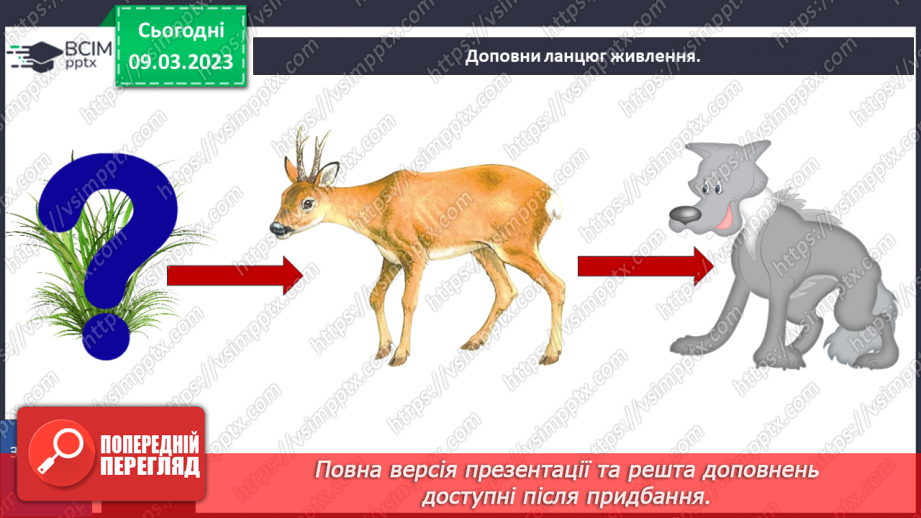 №080 - Ставок і ліс як екосистеми.31