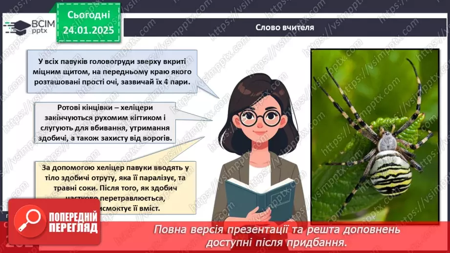 №58 - Павукоподібні.8