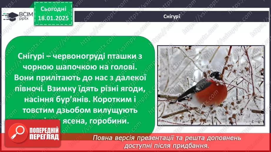 №0055 - Як зимують птахи та звірі10 №0055 - Як зимують птахи та звірі10