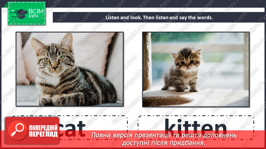 №087 - Unit 8. Look at that baby! Animals and their babies.5 №087 - Unit 8. Look at that baby! Animals and their babies.5