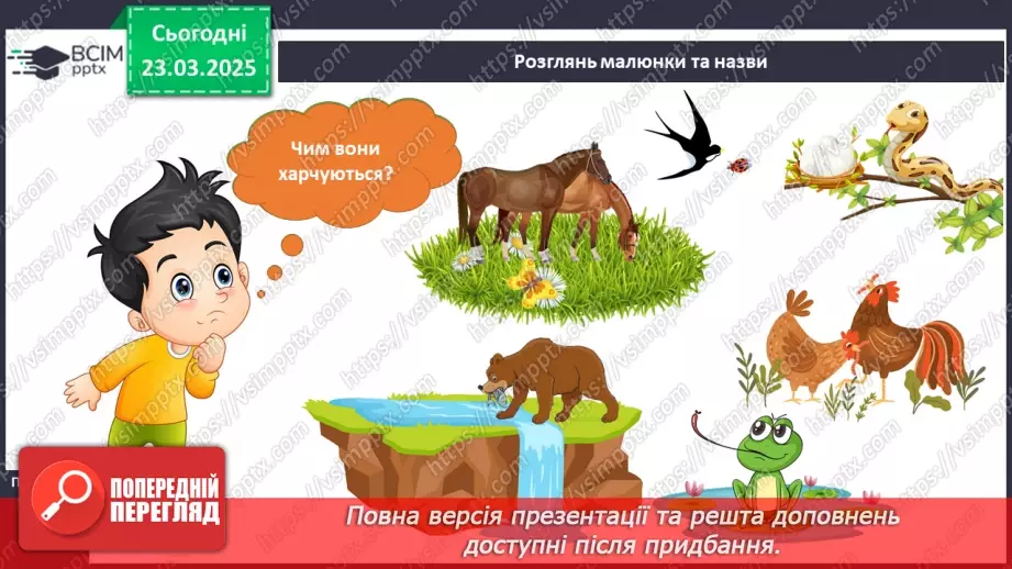 №084 - Як харчуються тварини. Житла тварин.12