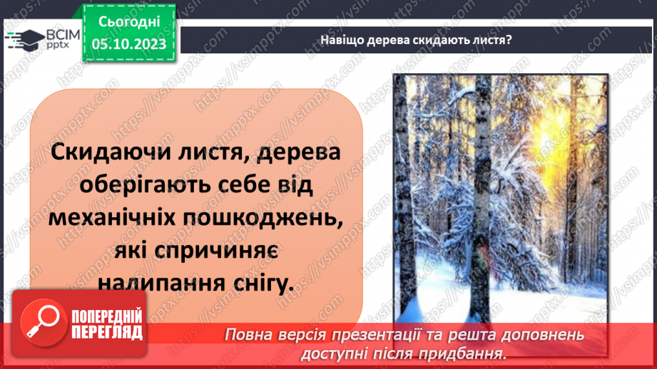 №021 - Осінні явища в житті рослин13 №021 - Осінні явища в житті рослин13