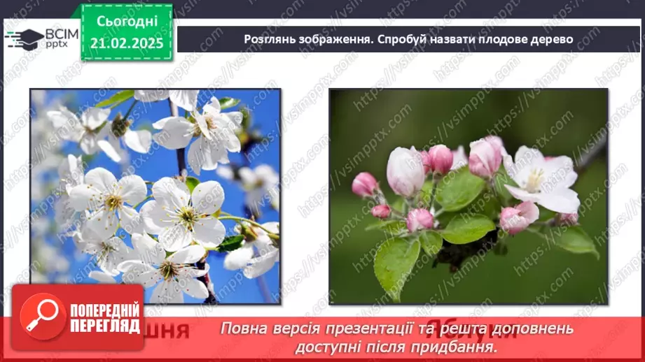 №0071 - Як почуваються рослини навесні15