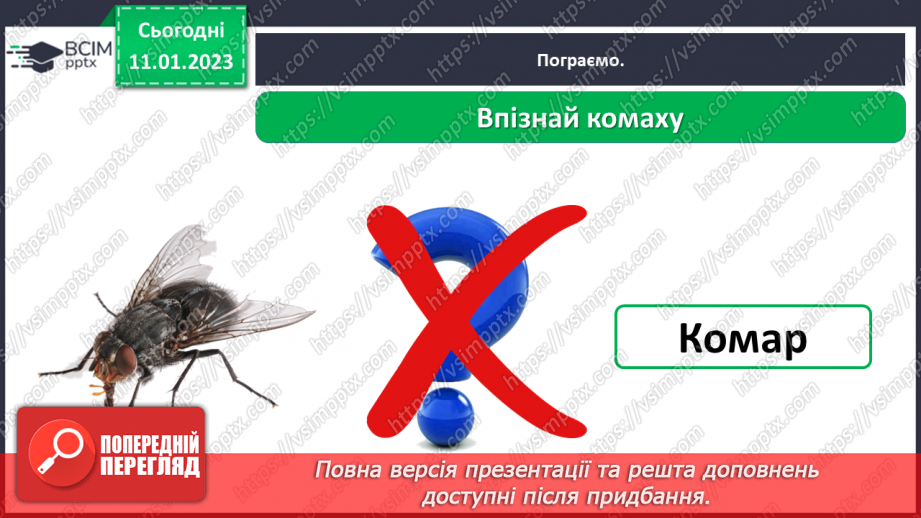 №0055 - Комахи19 №0055 - Комахи19