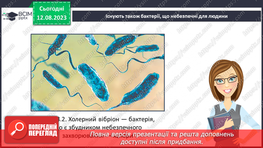 №11 - Різноманітність організмів: Бактерії та Гриби.14