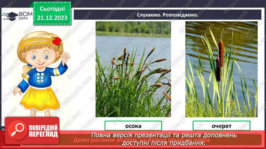 №049 - Чому рослини такі різні8 №049 - Чому рослини такі різні8