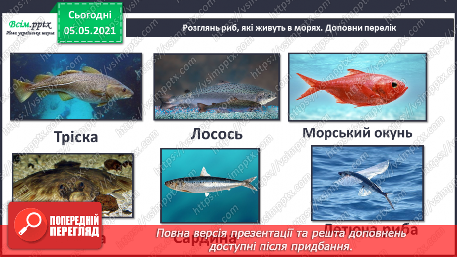 №055-56 - Узагальнення і систематизація знань учнів. Діагностична робота. Аналіз діагностичної роботи.42 №055-56 - Узагальнення і систематизація знань учнів. Діагностична робота. Аналіз діагностичної роботи.42
