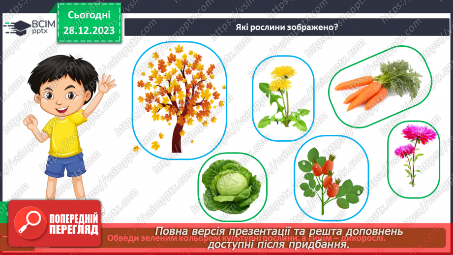 №053 - Які рослини дикорослі, а які культурні20 №053 - Які рослини дикорослі, а які культурні20