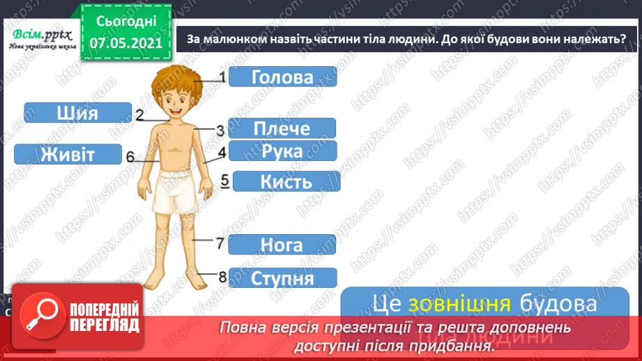 №049 - Яку будову має наше тіло13 №049 - Яку будову має наше тіло13