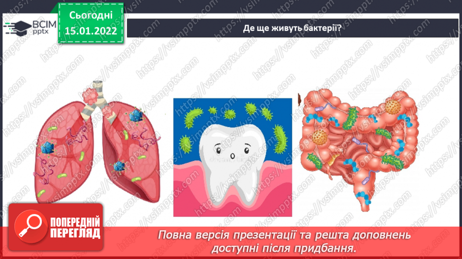 №19 - Створення власної «бактеріальної гри» .8