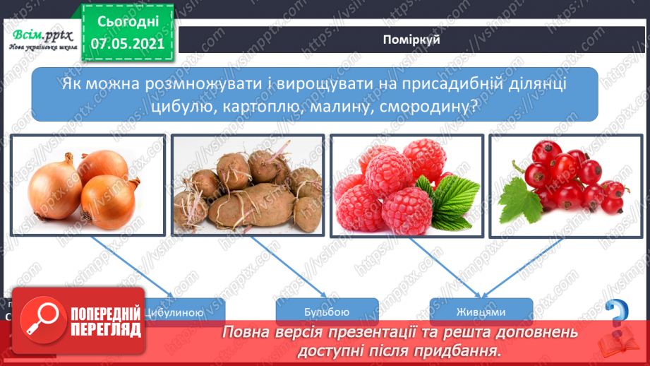 №039 - Як виростити нову рослину без насіння11 №039 - Як виростити нову рослину без насіння11