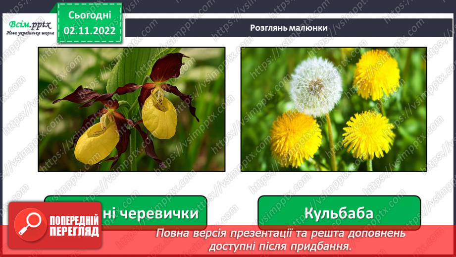 №0036 - Червона книга України. Рідкісні рослини.8