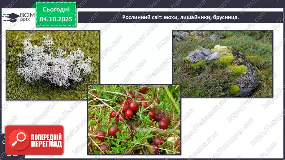 №0020 - Природні зони Землі.14 №0020 - Природні зони Землі.14