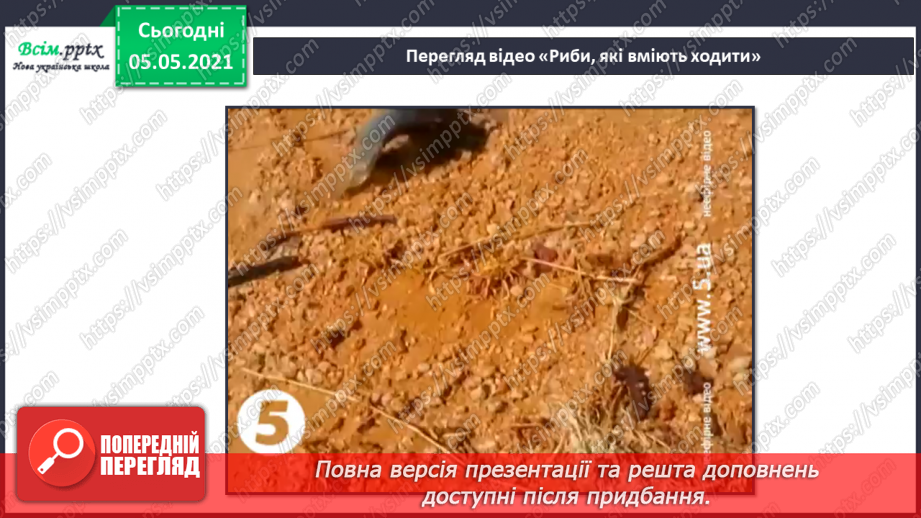 №041 - Риби.21