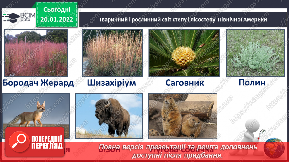 №059 - Рослинний і тваринний світ Північної Америки21 №059 - Рослинний і тваринний світ Північної Америки21