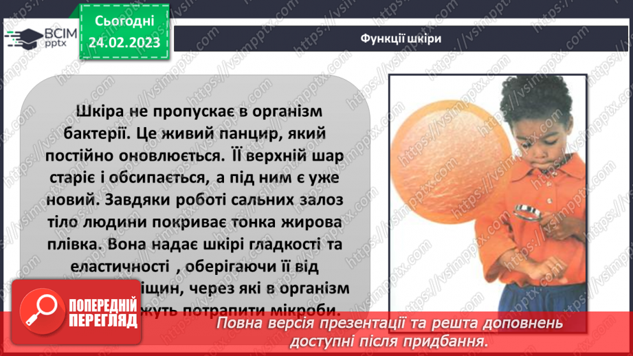 №50 - Із чого складається організм людини. Клітини, внутрішні органи та шкіра.23