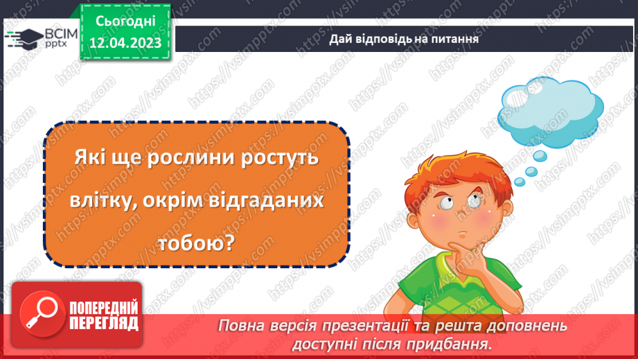 №0095 - Рослини влітку19
