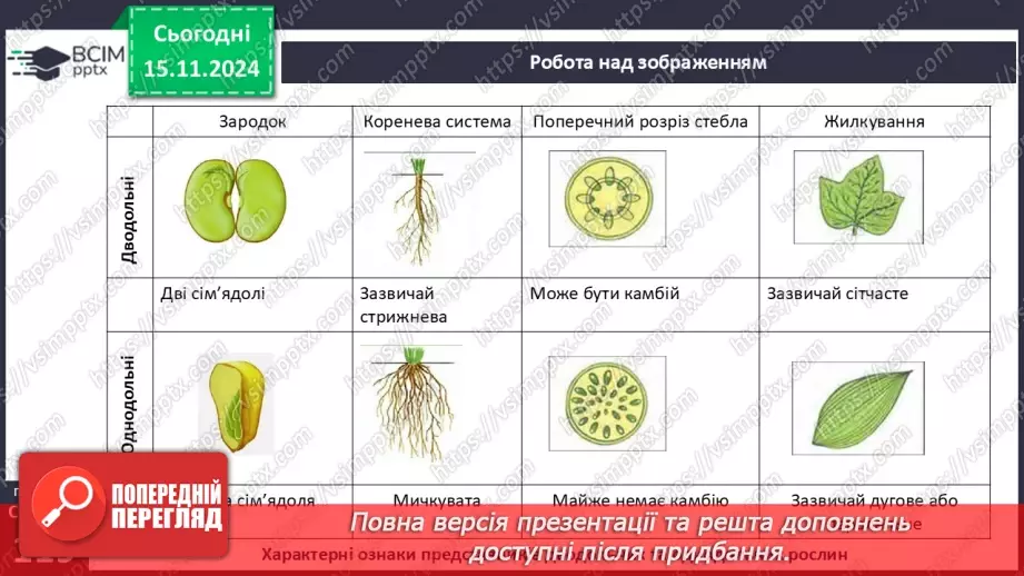 №36 - Різноманітність покритонасінних (квіткових) рослин.5