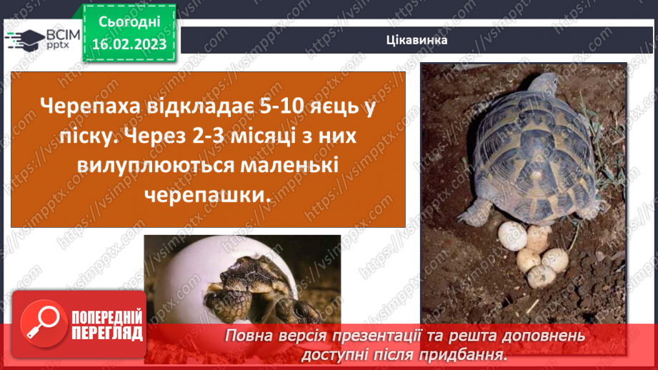 №48 - Хребетні тварини. Будова та спосіб життя хребетних тварин. Практична робота.19