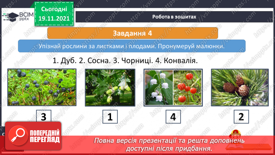№039 - Подорожуємо  зонами мішаних і  широколистих лісів19