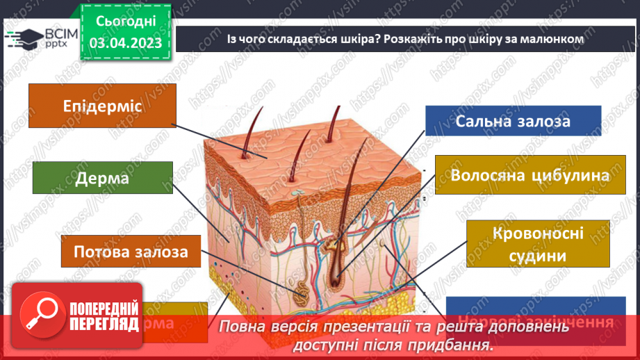 №59 - Узагальнення розділу «Пізнаємо організм людини в середовищі його існування». Самооцінювання навчальних результатів теми.6