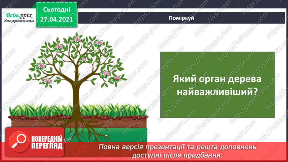 №075 - Як почуваються рослини навесні?21 №075 - Як почуваються рослини навесні?21