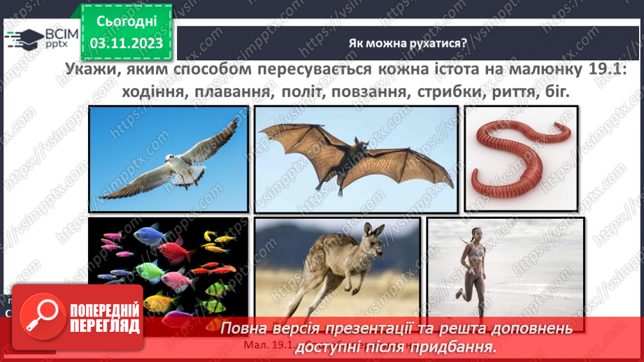 №21 - Чому життя — це рух?6