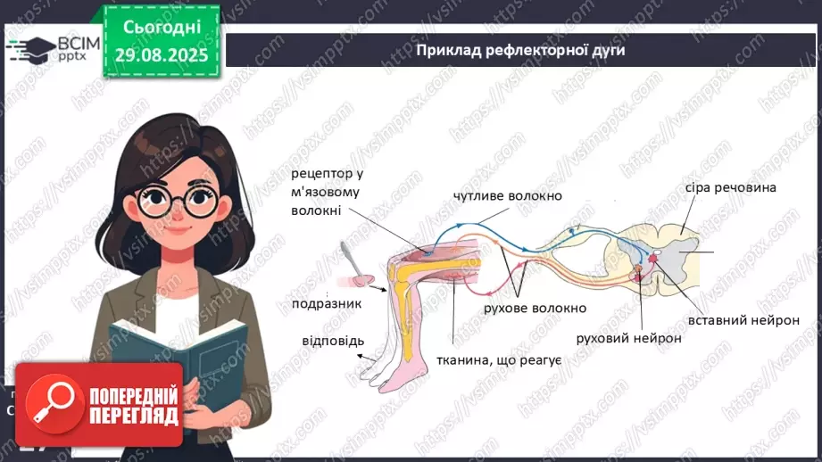 №006 - Органи, системи органів організму людини.19 №006 - Органи, системи органів організму людини.19