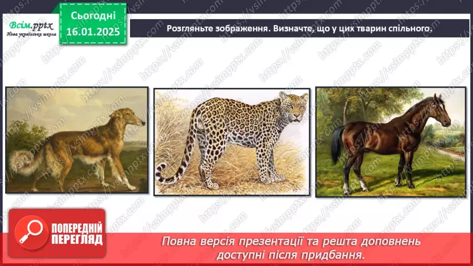 №19 - Карнавал тварин17