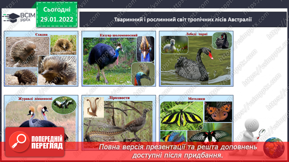 №063 - Рослинний і тваринний світ Австралії.10 №063 - Рослинний і тваринний світ Австралії.10