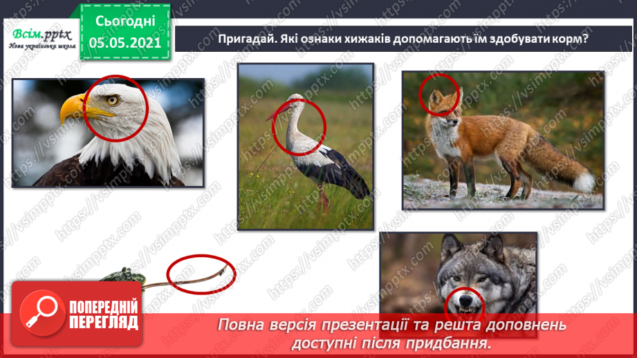 №043-44 - За Ю. Ярмишем «Білченя та метелик» .4 №043-44 - За Ю. Ярмишем «Білченя та метелик» .4