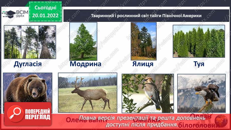 №059 - Рослинний і тваринний світ Північної Америки17 №059 - Рослинний і тваринний світ Північної Америки17