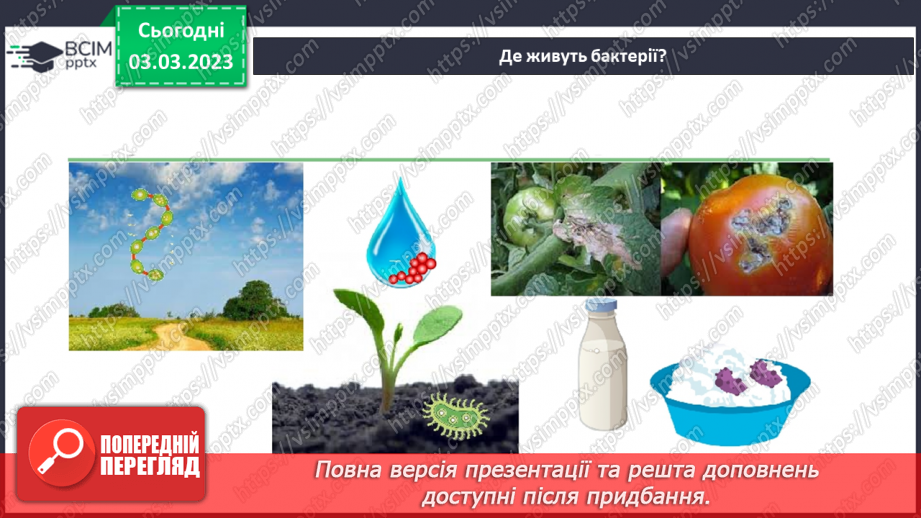 №51 - Узагальнення розділу «Клітини, бактерії, віруси, гриби, рослини і тварини».11
