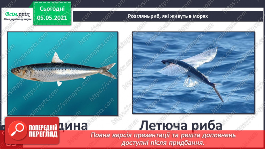 №053-54 - Природне угруповання—море. Подорож- спостереження «Природне угруповання нашої місцевості»15 №053-54 - Природне угруповання—море. Подорож- спостереження «Природне угруповання нашої місцевості»15