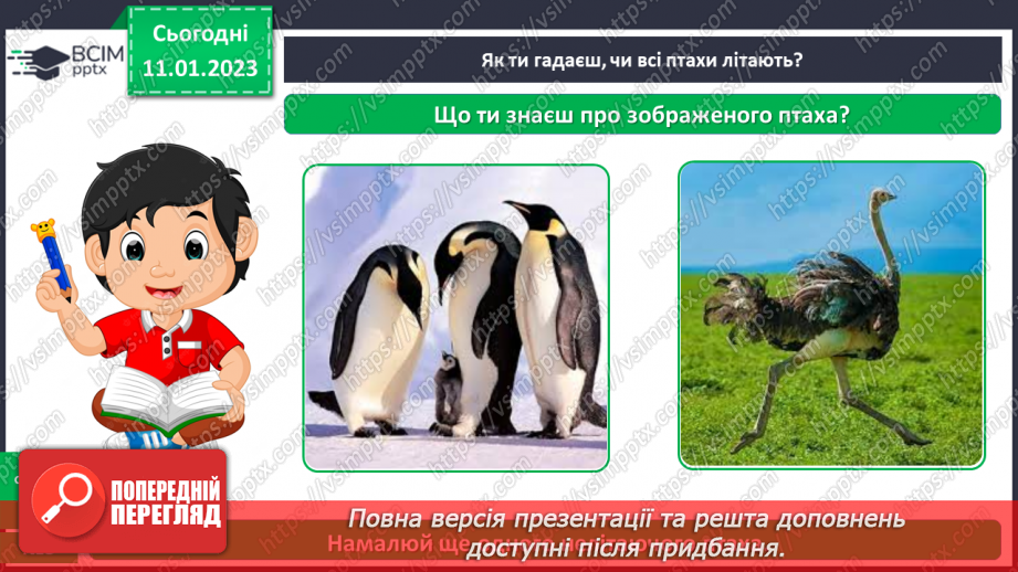 №0057 - Птахи20