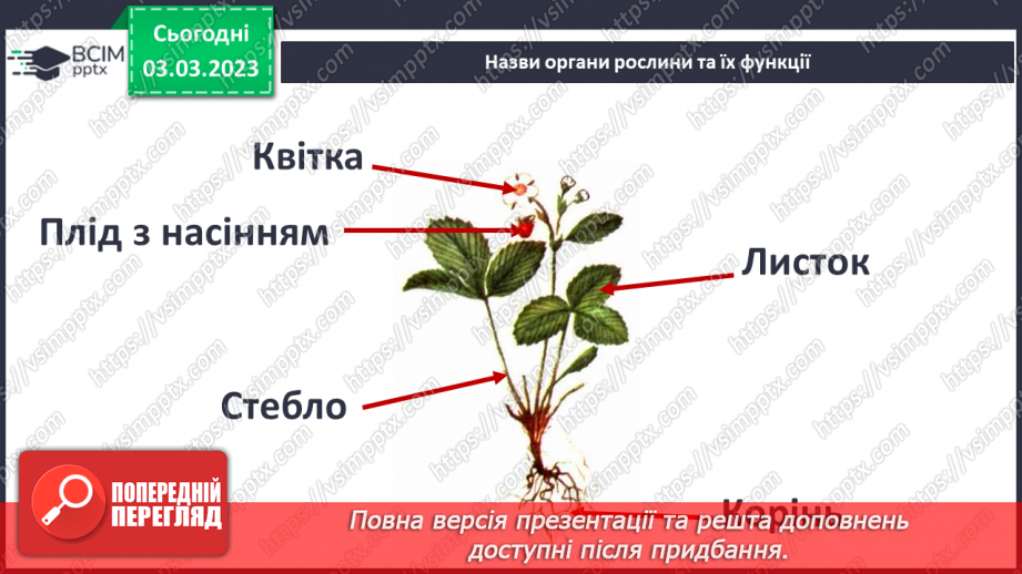 №51 - Узагальнення розділу «Клітини, бактерії, віруси, гриби, рослини і тварини».14