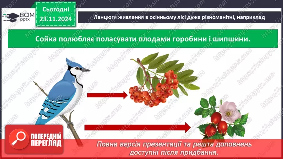 №0038 - Які невидимі ланцюги є в осінньому лісі12 №0038 - Які невидимі ланцюги є в осінньому лісі12