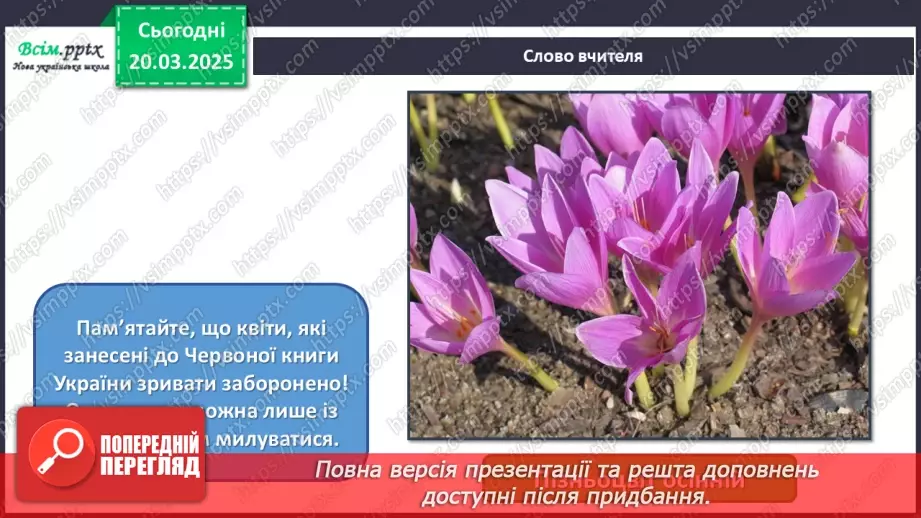 №28 - Квіткові фантазії7 №28 - Квіткові фантазії7