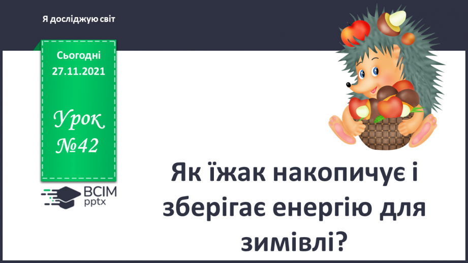 №042 - Як їжак накопичує і зберігає енергію для зимівлі?0