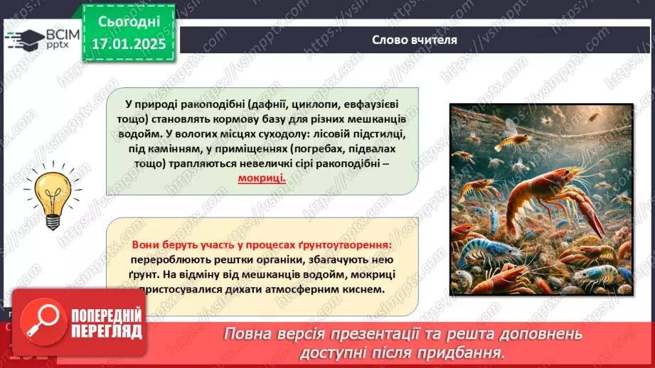 №55 - Членистоногі - безхребетні тварини із зовнішнім скелетом. Ракоподібні.18