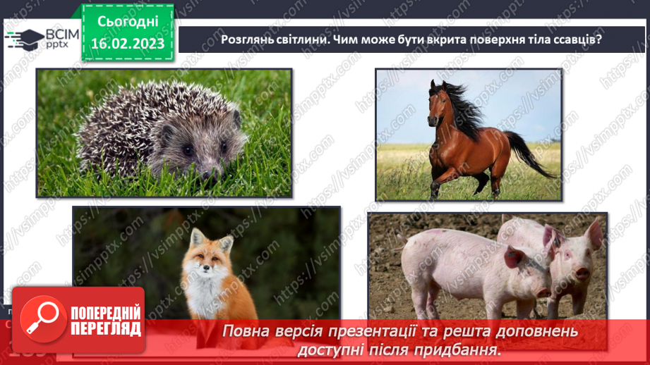 №48 - Хребетні тварини. Будова та спосіб життя хребетних тварин. Практична робота.25