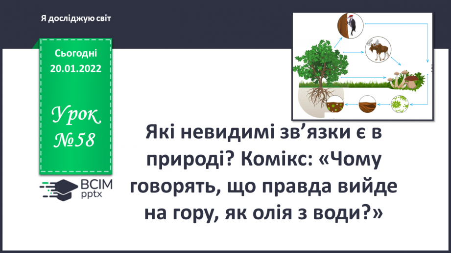№058 - Які невидимі зв’язки є у природі? Комікс: «Чому говорять, що правда вийде нагору, як олія з води?»0