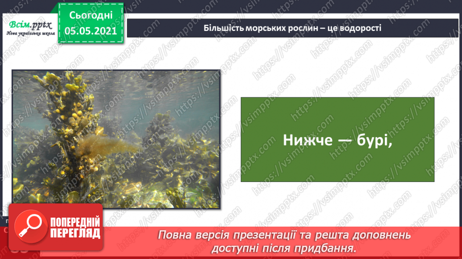 №053-54 - Природне угруповання—море. Подорож- спостереження «Природне угруповання нашої місцевості»6 №053-54 - Природне угруповання—море. Подорож- спостереження «Природне угруповання нашої місцевості»6