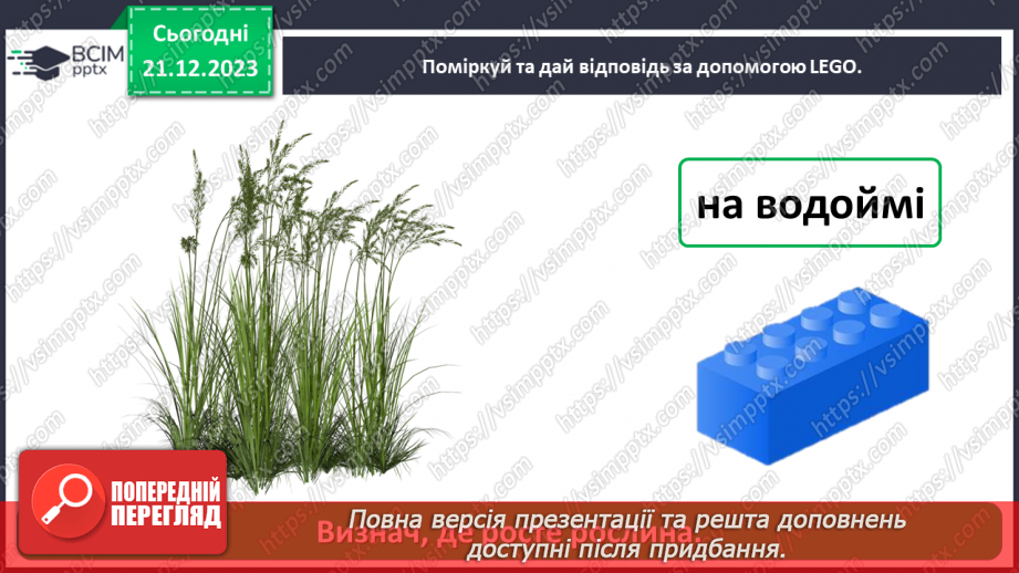 №049 - Чому рослини такі різні22 №049 - Чому рослини такі різні22