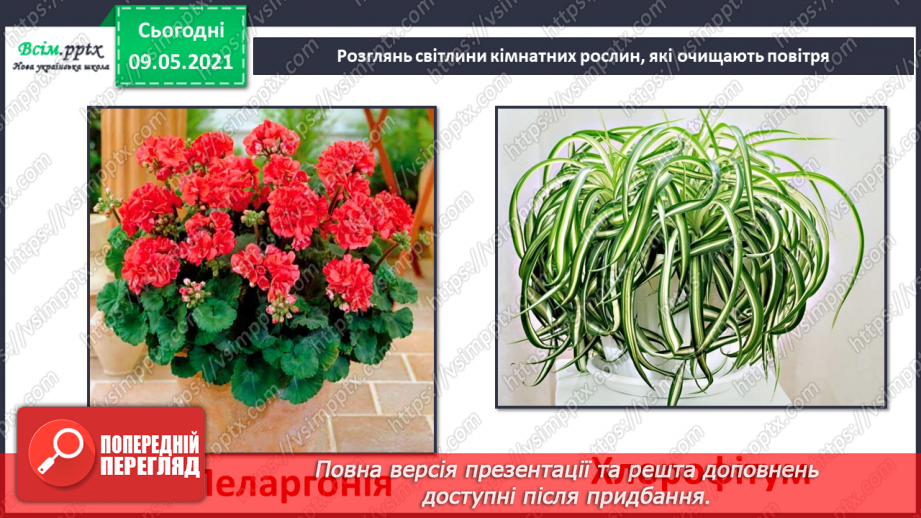 №035 - Як охороняти повітря від забруднення?19