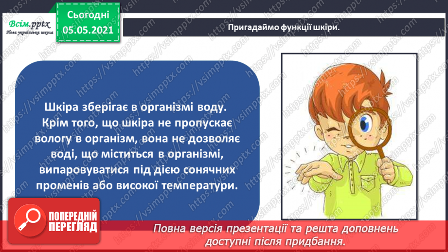 №087 - Орган дотику.13
