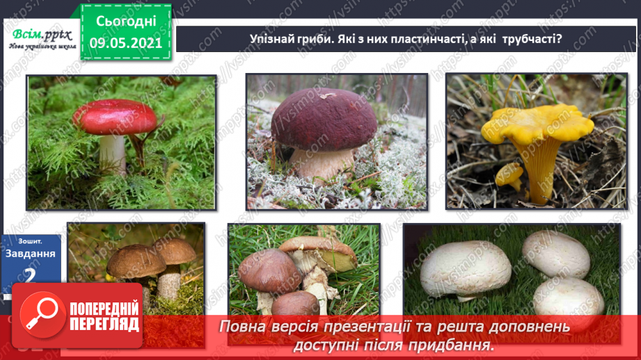 №079 - У чому загадковість світу грибів?26