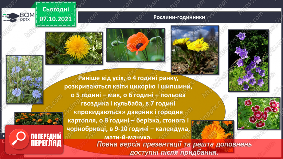 №024 - Рухи Землі і їх наслідки. Рух Землі навколо своєї осі11 №024 - Рухи Землі і їх наслідки. Рух Землі навколо своєї осі11